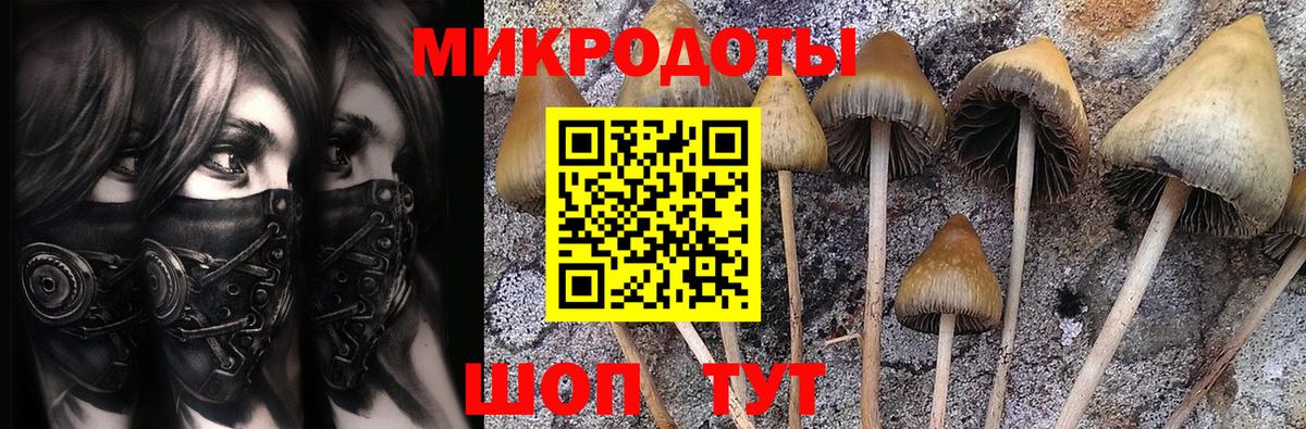 Псилоцибиновые грибы GOLDEN TEACHER  Псилоцибиновые грибы ЛСД  закладки  Воркута  Вход с VPN 