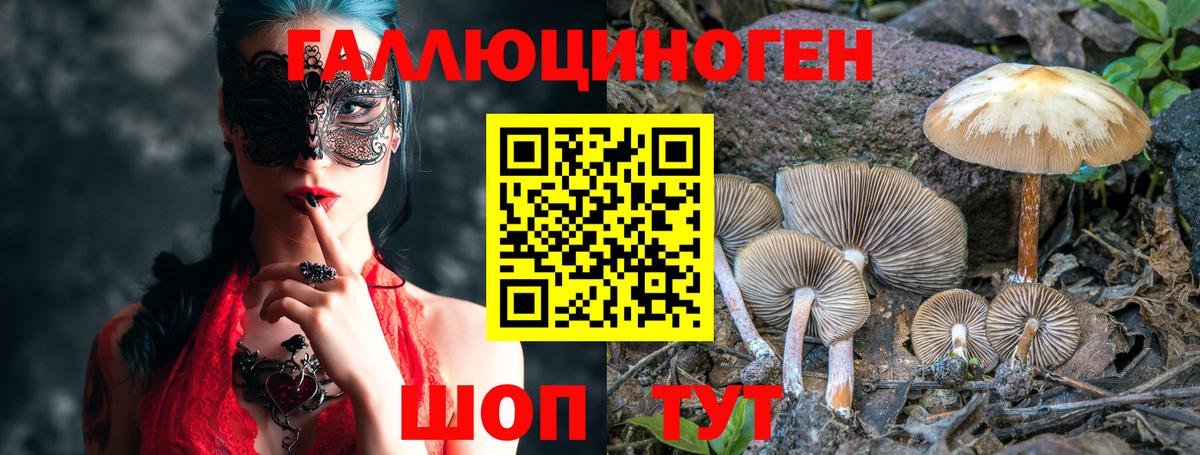 Галлюциногенные грибы мухоморы Воркута